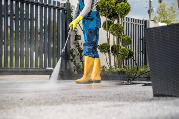 Best Pressure Washing Driveway  in Ojus, FL