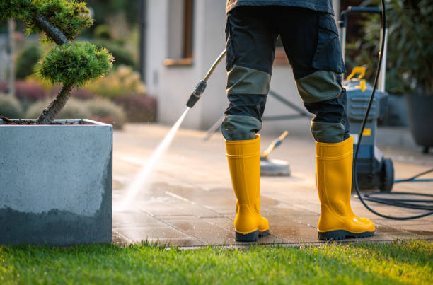 Best Roof Power Washing Services  in Ojus, FL